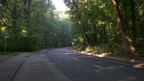 Rays of sunlight filter through the leaves on Dutch Street in downtown Beek. Video stock 221193990