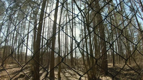 Rays of sunlight make their way through the mesh fence cells Stock Footage 155644008