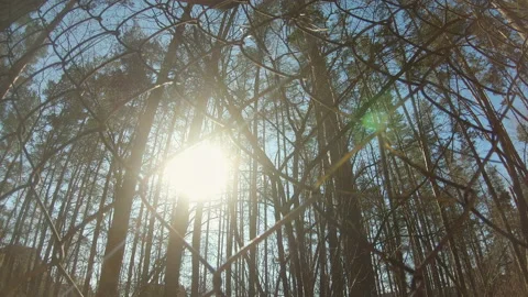 Rays of sunlight make their way through the mesh fence cells Stock Footage 156205191