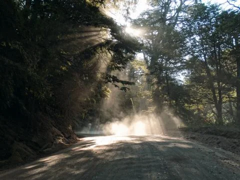 Rays of sunlight over the path Stock Photos