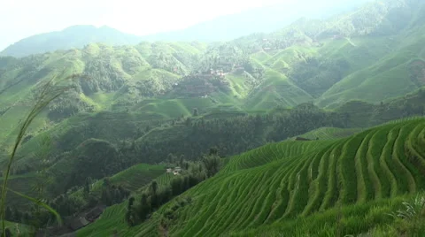 Rays of sunlight over rice paddies, timelapse, China Stock Footage 2937066