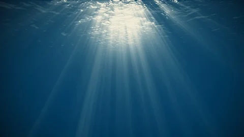 Rays of Sunlight Penetrate Clear Water. Stock Footage 117297643