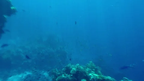 Rays of sunlight penetrating the ocean Video stock 121465181