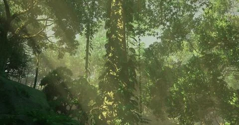 Rays of sunlight piercing through a dense forest in early morning Stock Illustration