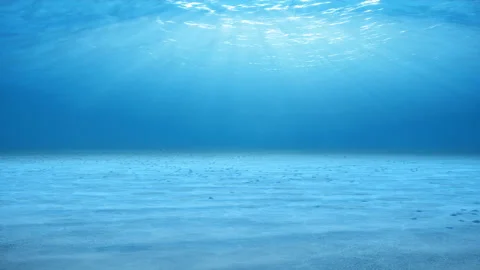 Rays of sunlight shining from above penetrate deep clear blue water. Caustic Stock Footage 113340233
