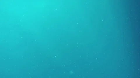 Rays of sunlight shining into the underwater Video stock 81145819