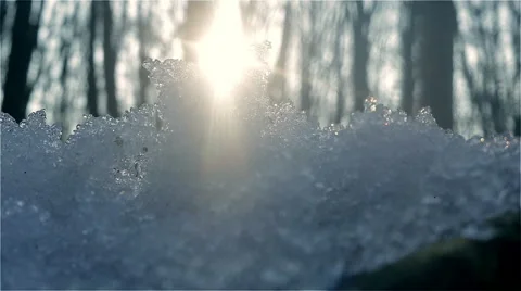 The rays of sunrise melting the snow Stock Footage 48261548