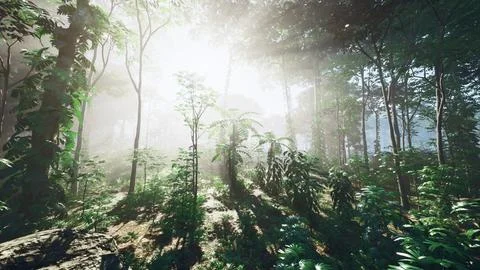Rays of sunshine shining through palm trees in a rainforest in Bali Stock Illustration