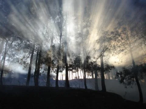 Rays through smoke Stock Photos
