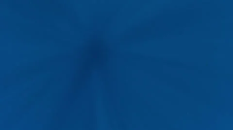 Rays underwater Blue Ocean 库存影片 22673479