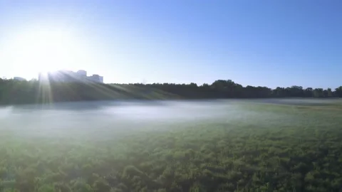 The rays of the warm summer sun are beautiful through a thick fog. Stockbeeldmateriaal 141761213