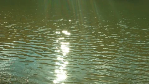 Rays on the water surface Vídeo Stock 80499954