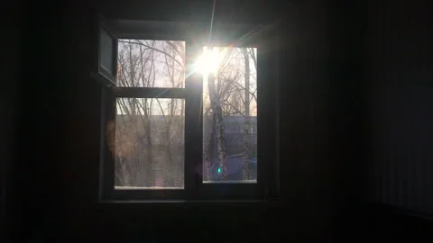 Rays of winter sun enter dark room through window cold air tree silhouettes Stock Footage 242423899