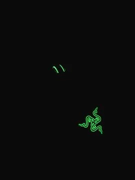 Razer logo and scroll button on gaming Razer mouse in dark or black background 스톡 사진