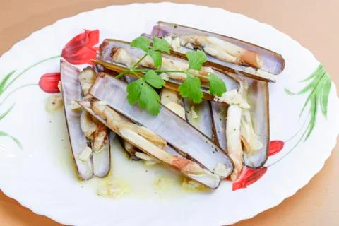 Razor shellfish Stock Photos