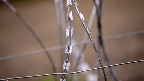 Razor Tape Blade Crossing Horizontal Fence Wires, Macro Stock-Footage 344119255