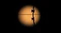 Razor Wire and Moon rack focus to Bat Flying HD Footage