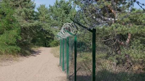 Razor Wire Barbed Fence Guarding Border Path in Pine Woodland Stock Footage 344772469