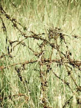 Razor wire compound Stock Photos