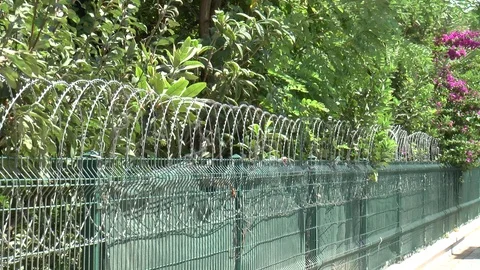 Razor Wire Stock Footage 95138024