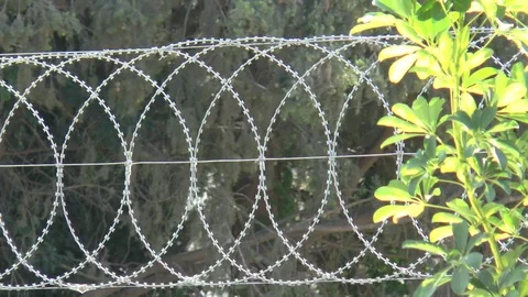 Razor Wire Stock Footage 95150131
