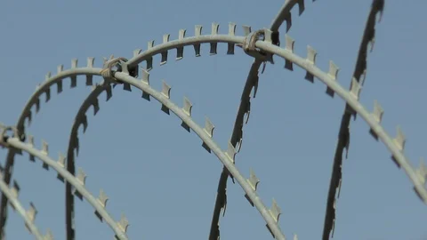 Razor Wire Stock Footage 95184410