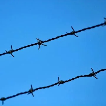 Razor wire Stock Photos