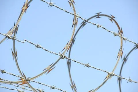 Razor Wire Stock Photos