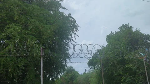 Razor Wire Security Fence Through Green Vegetation Under Overcast Sky Vídeo Stock 337796100