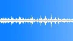 Razorbill Sound of TakeOffSound Effect