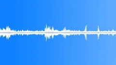 Razorbill Sounds of TakeOffSound Effect