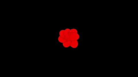 RB Sym Seven From Center Stock Footage 95838471