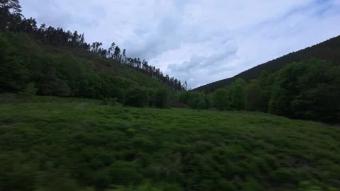RB60 Rottenbach — Katzhutte (Schwarzatalbahn) Stock Footage 341329641