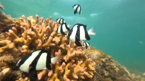 RBQA6281 Stock Footage 128054591