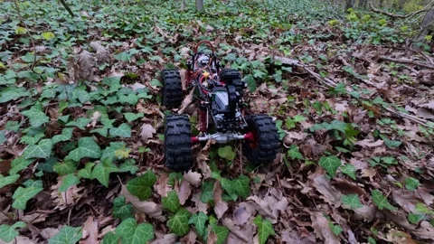 RC crawler car driving through ivy and dry leaves in a spring forest 库存影片 333561568