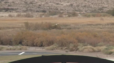 RC Plane flying over park Video stock 8643830