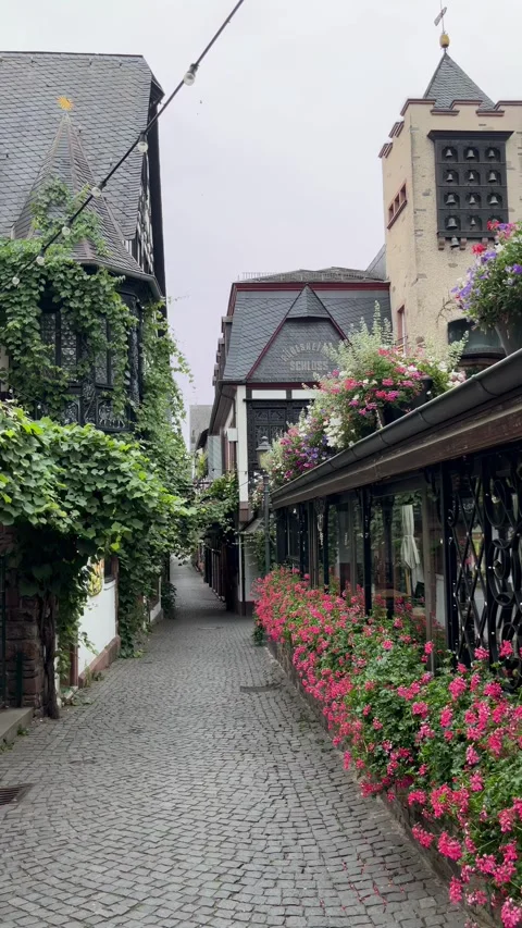 Rdelheim, Germany, August 15, 2026 selective focus authentic old town stree.. Stock Footage 345145865