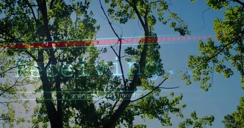 Reaching branches in woods, with red scan bar, green Decoding, white lines, Stock Photos