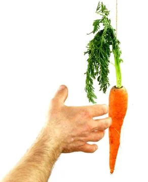 Reaching for the Carrot Stock Photos