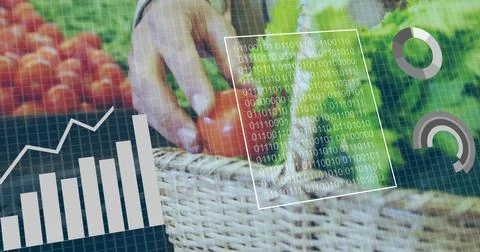 Reaching hand picking tomatoes and lettuce from wicker basket at market stall, Stock Photos