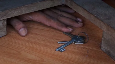 Reaching hidden house keys Видео 335192406