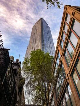 Reaching Highness Stock Photos