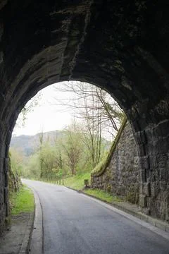 Reaching the light at the end of the tunnel. A path and a green forest Concep Stock Photos