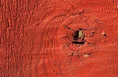 Reaching the Other Side of the Knothole Stock Photos