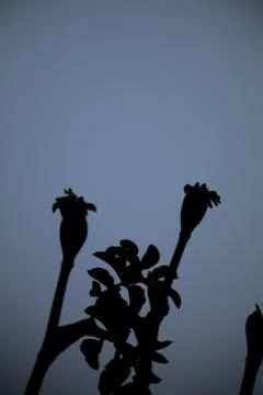 Reaching out to one another. Stock Photos