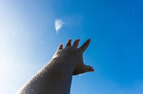 Reaching out to the sky. Against the backdrop of a bright blue sky in the m.. Stock Photos