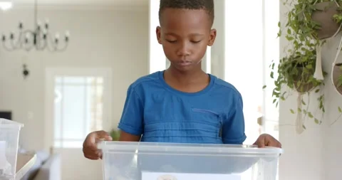 Reaching from right, African American boy child lifting PLASTIC bin, checking Stock Footage 340881709
