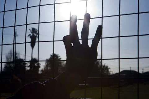 Reaching for the sun Stock Photos