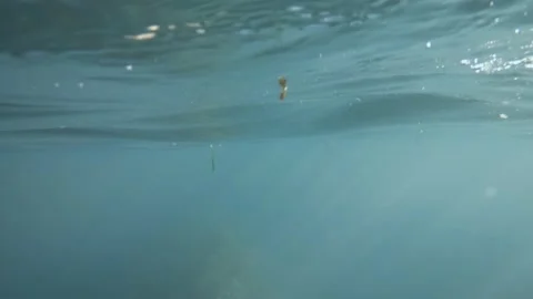 Reaching the Surface POV - Swimming Underwater Shot - Travel Mallorca Spain Stock Footage 134029381