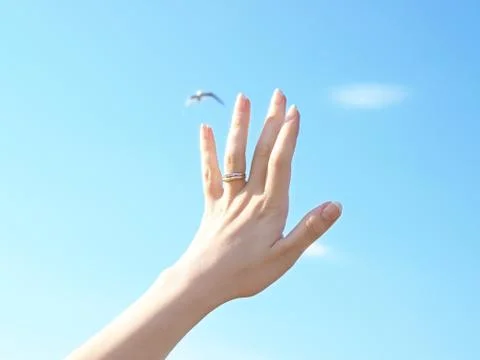 Reaching towards the sky Foto stock